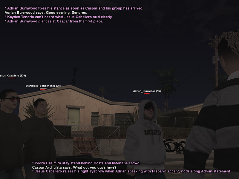 SS3.png