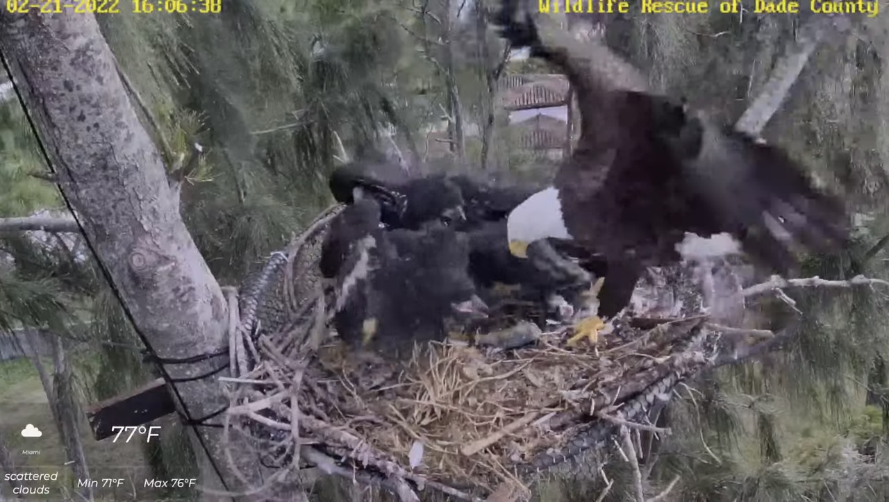 2C296610-CE42-43D1-A6EB-02DCD34B602D