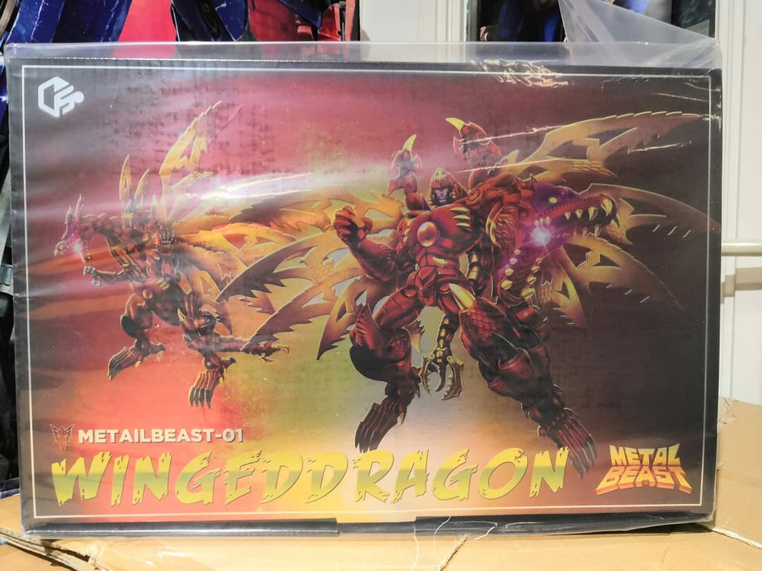 73358360_2495645413816550_5744342956798640128_o