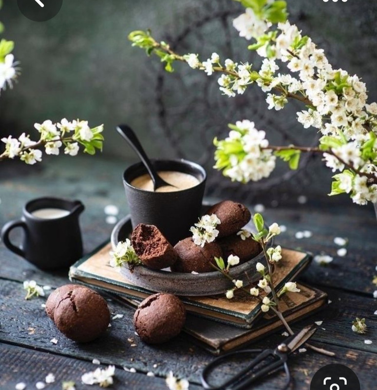 Screenshot_20230616_131528_Pinterest