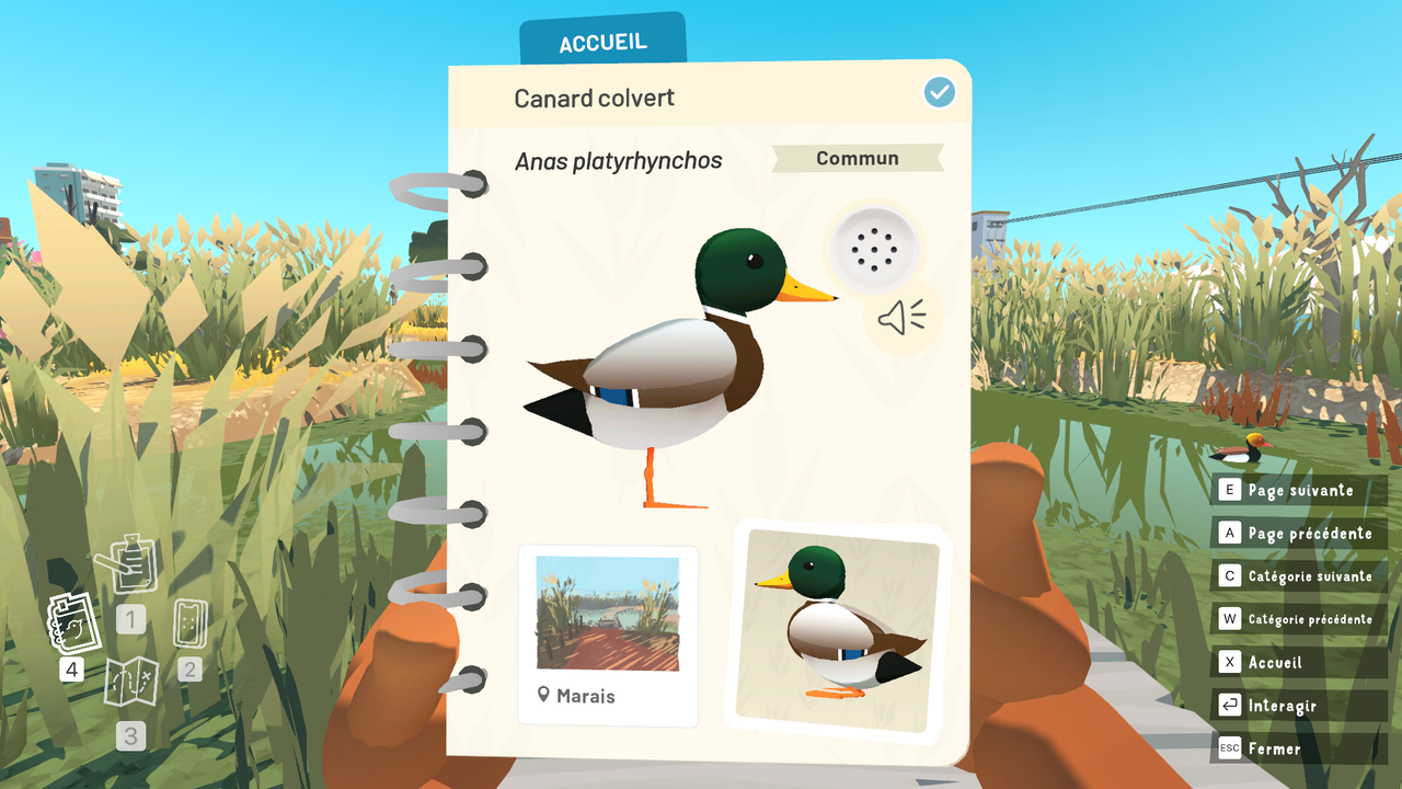 Capture d’écran (103)