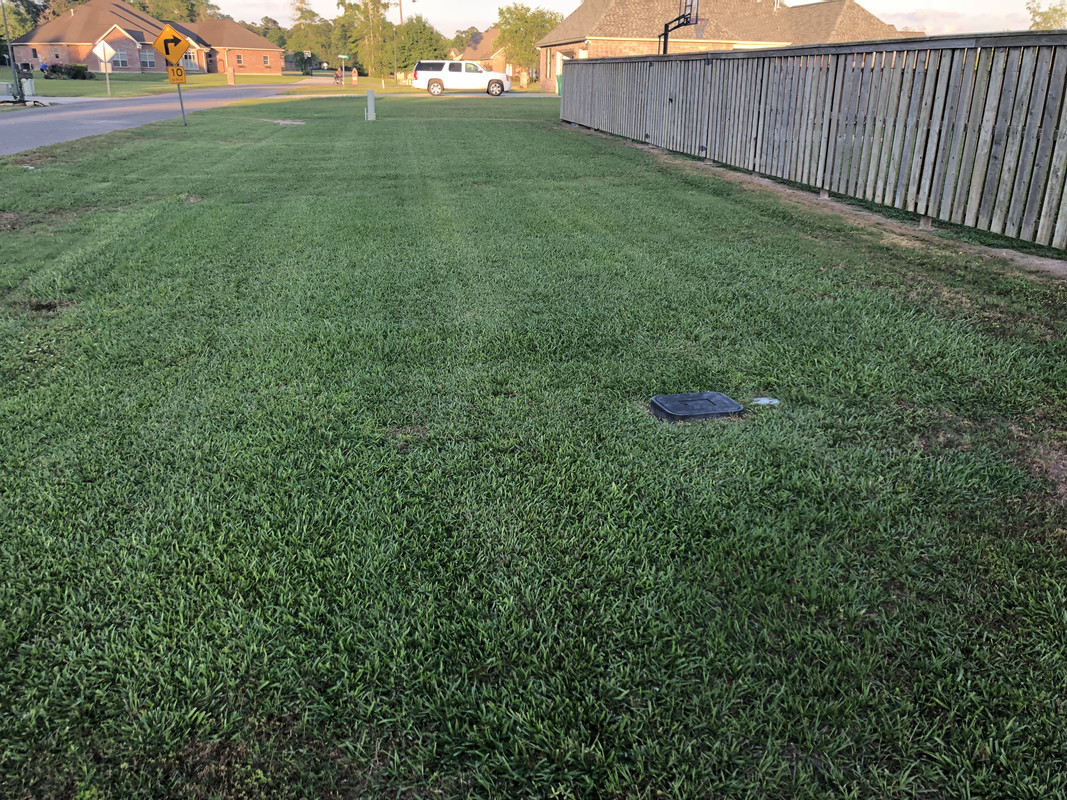 5D3809AD-6D88-40DD-BCD5-516C3E6A60D7