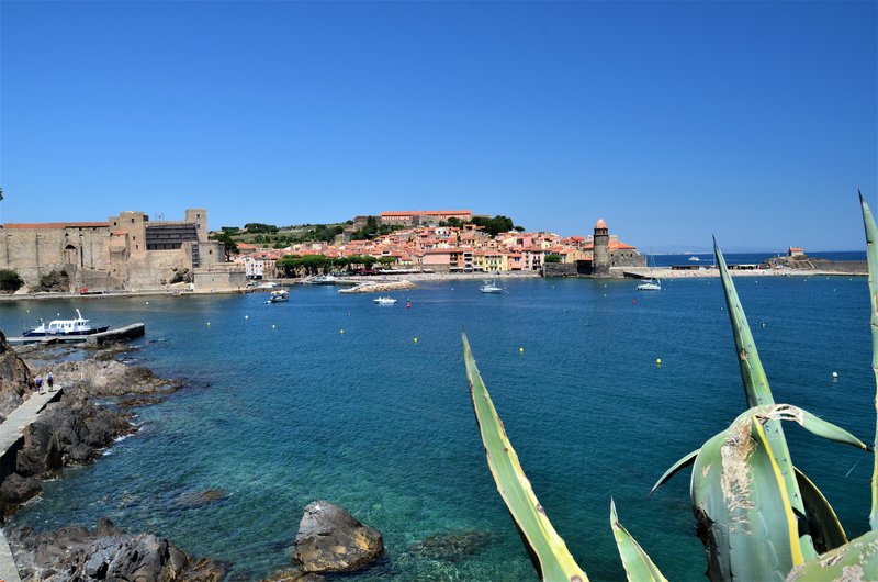 Francia y sus pueblos-2016/2022 - Blogs de Francia - COLLIOURE-28-6-2016 (8)