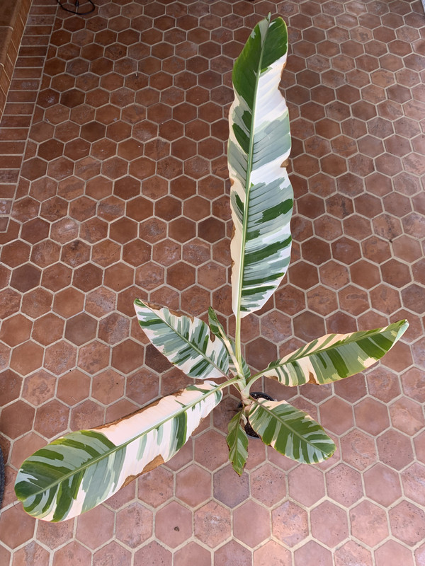 FF7B300B-B2A5-4F52-A237-AF2D0D6591CA