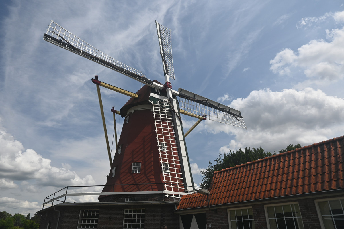 Afbeelding