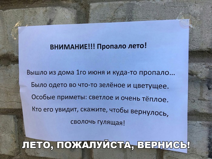 https://i.postimg.cc/vmmXBxgw/image.jpg