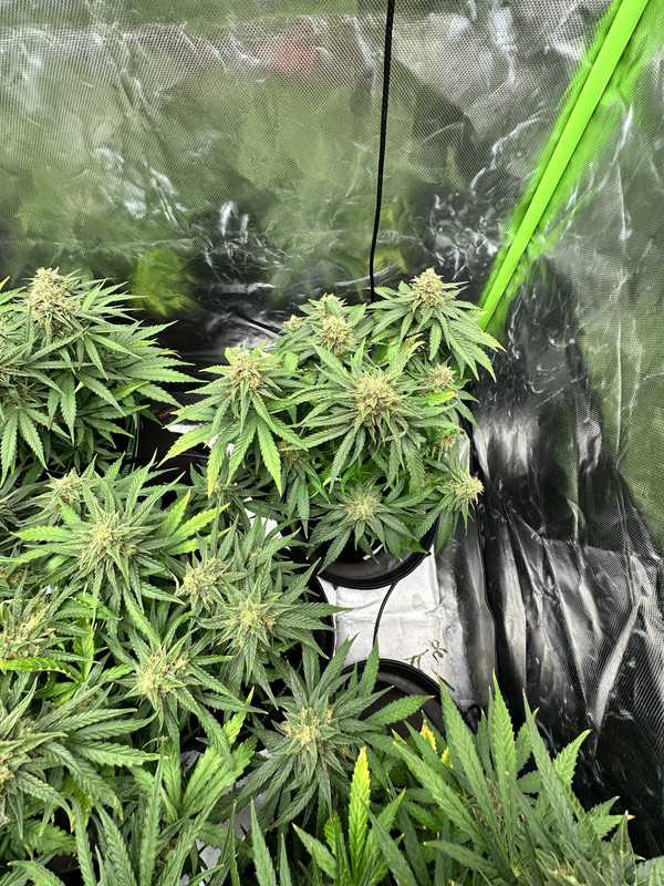 B41F8076-87F7-4690-B383-85DE4F2ADFF2