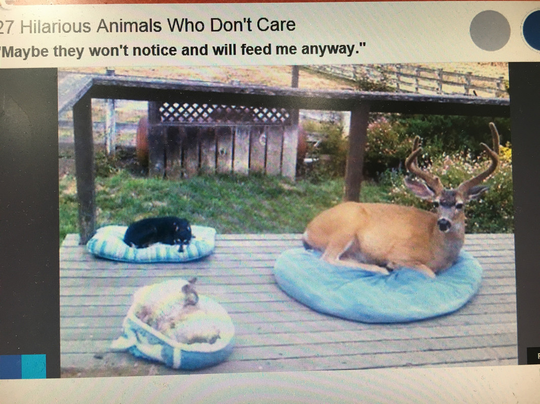 E4BE52C3-D8A5-4EC5-B0EA-E238933269AE