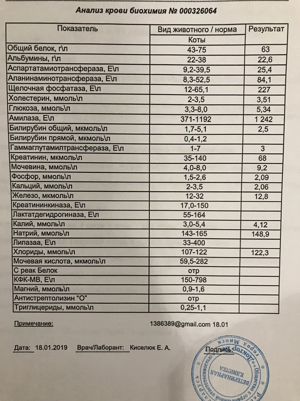 ADB1E658-4AD5-4B2E-94C5-B5E9209C51EF