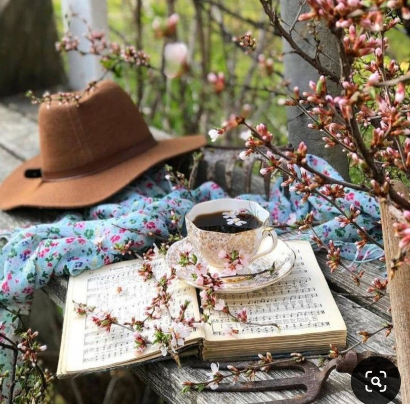 Screenshot_20240604_161127_Pinterest