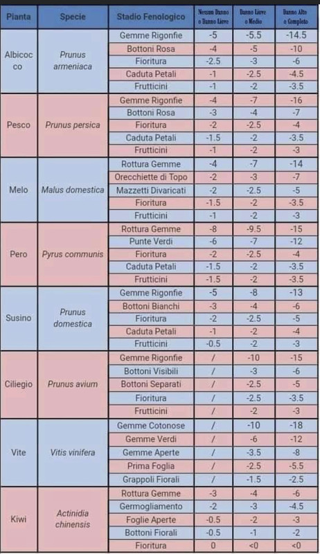 46A563D9-F8BB-4D7B-8AE8-408B094D74F8