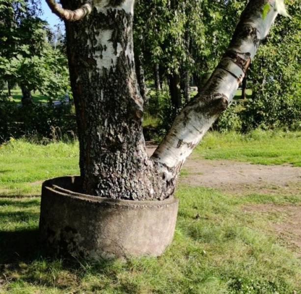 Naturaleza-5