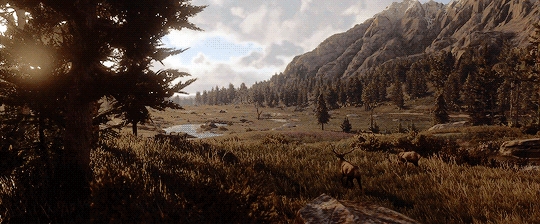 rdr
