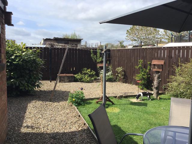 165C655E-563A-47D4-B151-9FDE386184A9