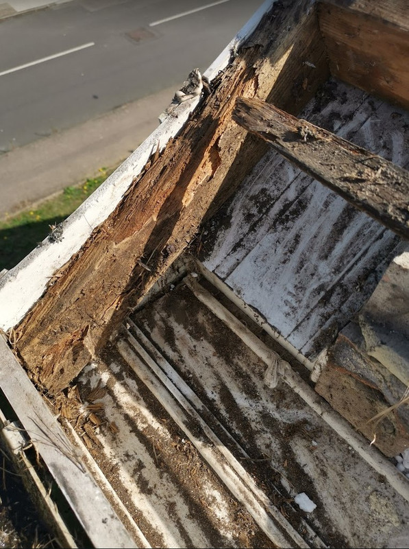 2024-09-15-Rot.jpg