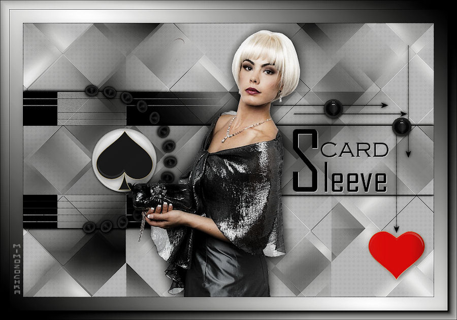 card-sleeve