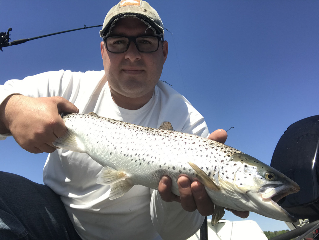 428AA18A-D6BD-4C5D-8908-D98334BC0922