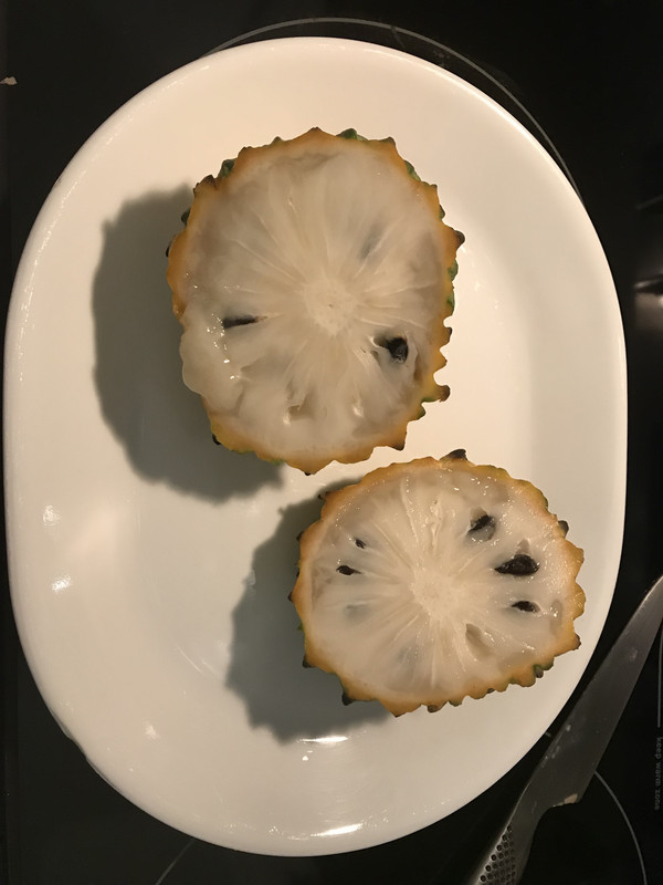 rolliniafruitinside42018