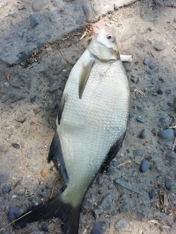 Изображение 1373