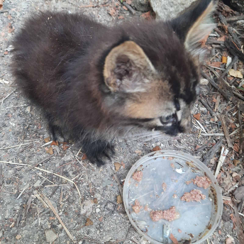 изображение_viber_2022-08-29_14-05-05-302