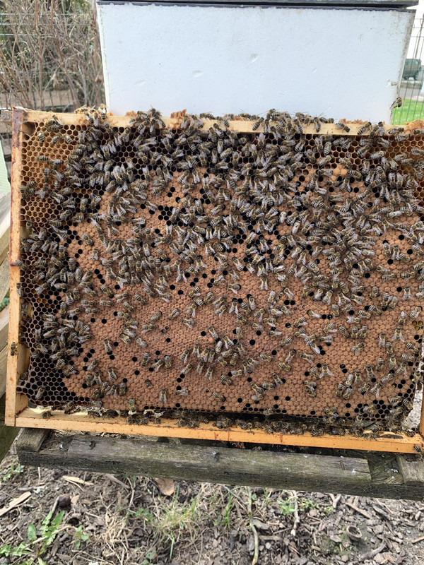 F35F4FEE-9353-4E7C-8023-0FE0D4C6A14C