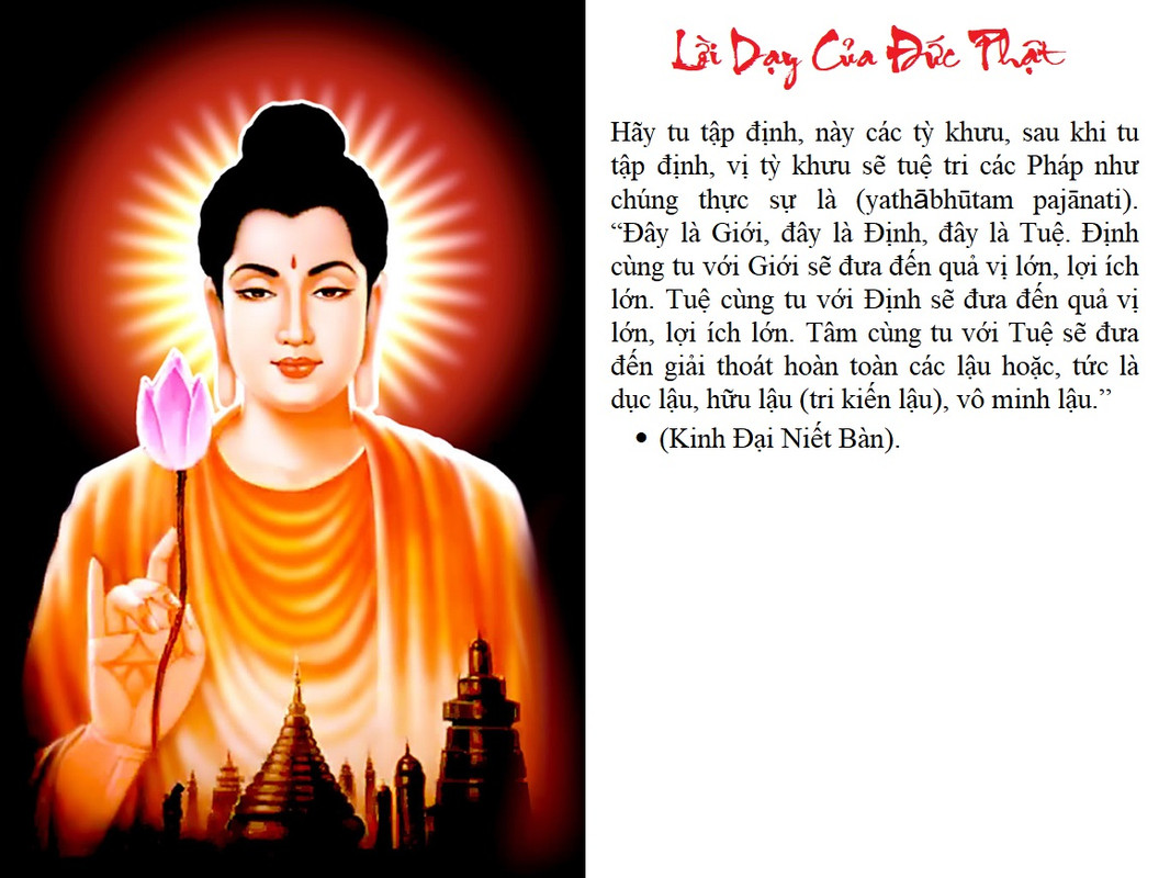 [Image: LDCDP-12-16-2024.jpg]
