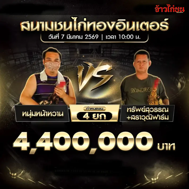 โปรแกรมไก่ชน หนุ่มหน้าหวาน พบ ทรัพย์สุวรรณ สราวุฒิฟาร์ม สนามชนไก่ทองอินเตอร์ วันที่ 7 มีนาคม 2569