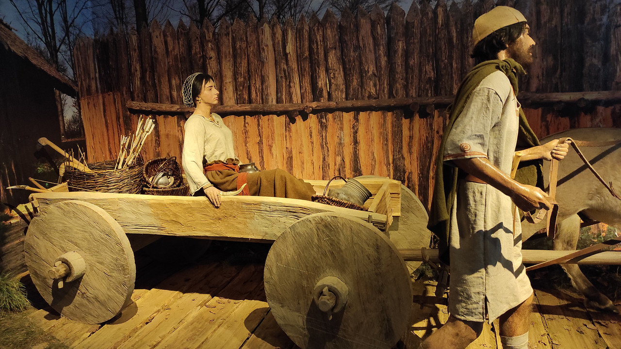 05.02 - IMG_20220617_143729 (Czesio1)