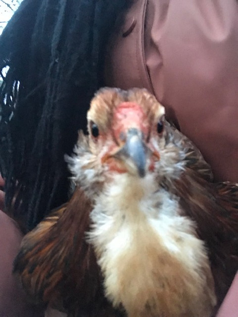 7CA74025-5926-4F0B-A721-8EF96FB78BB3