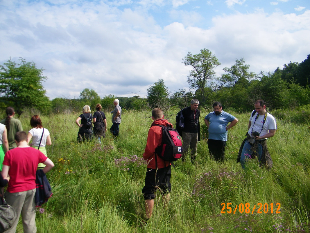 02 - Ornitolog (Johny)