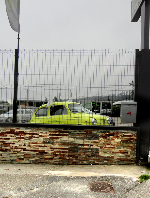 FIAT_600_TROFA1807-2