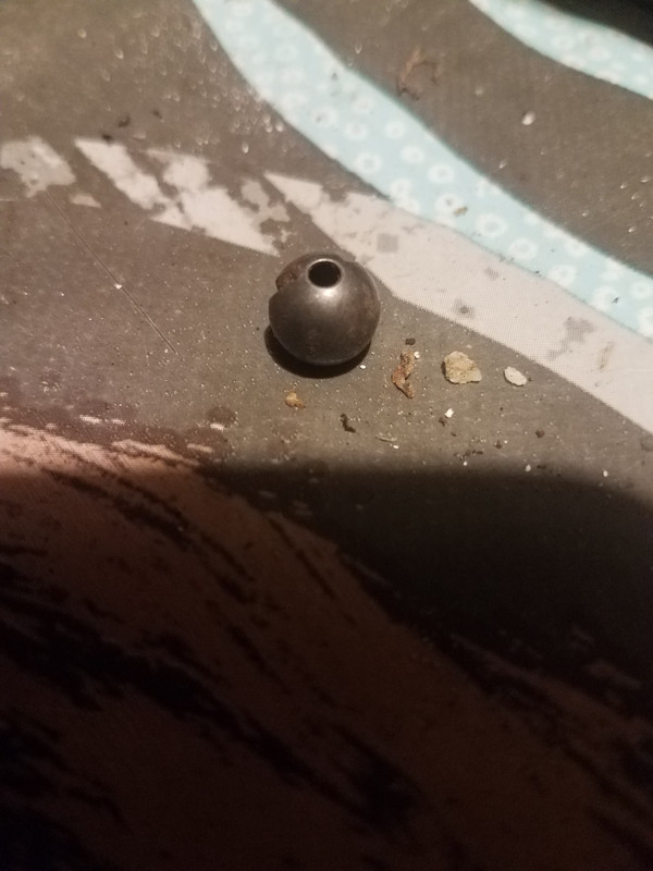 95509574_664493364113200_3437625616797532160_n