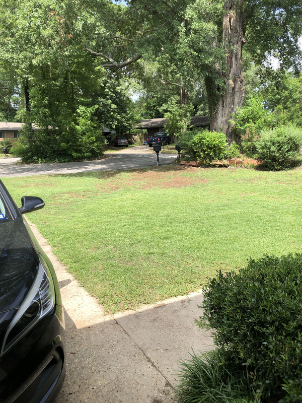 4CD7B70D-E534-461F-9963-0AE8AFEFE0EA