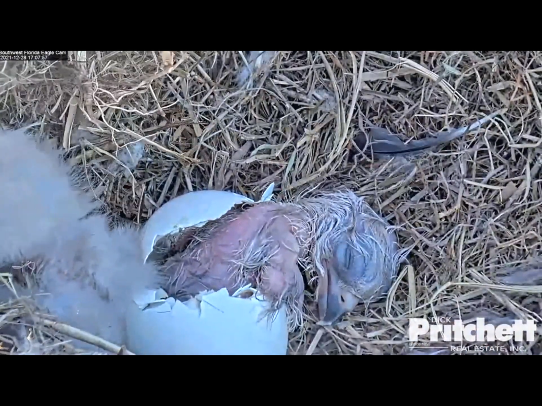 12844452-B0D8-432D-B7A2-D8112B5C8996