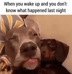 wake-up.gif