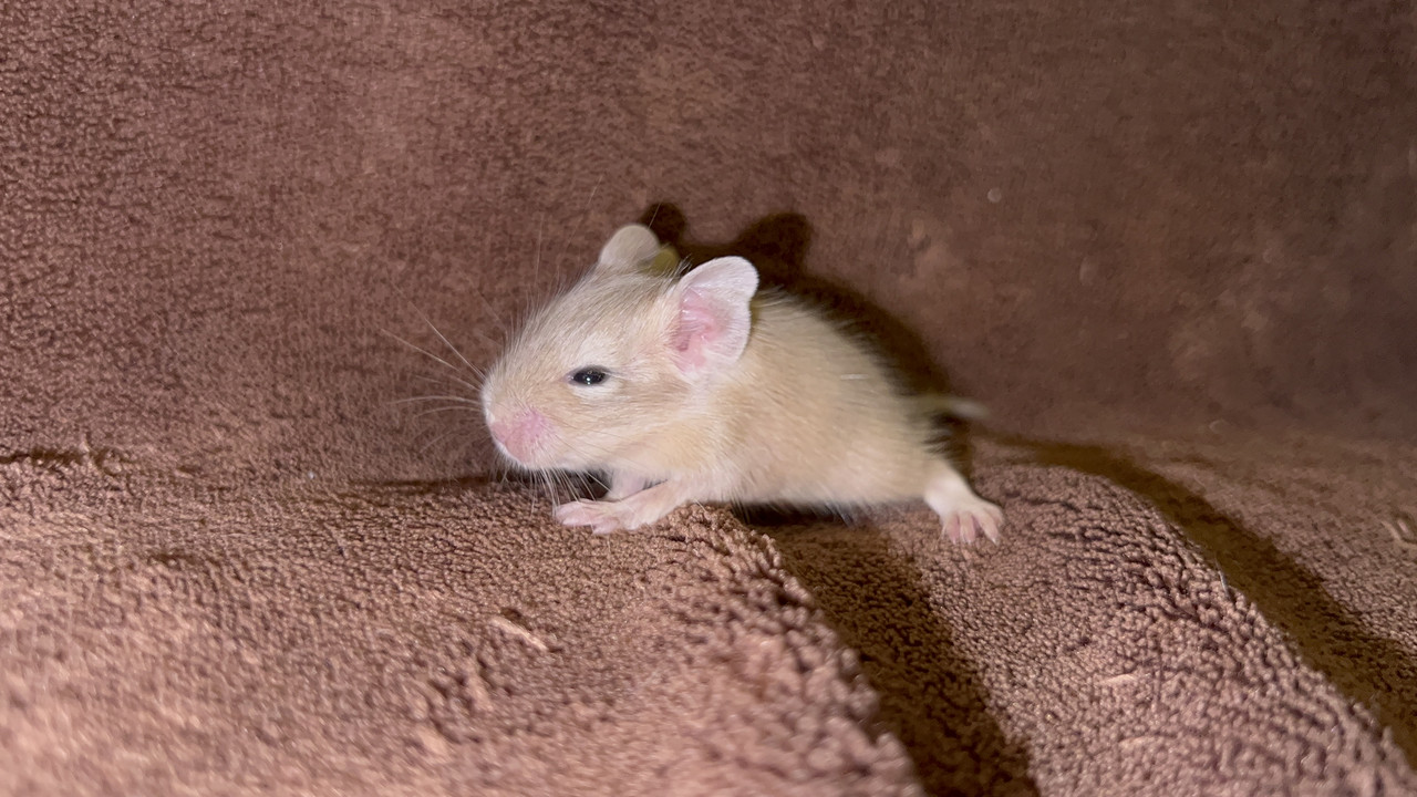 25933F91-AB81-467B-AE9B-1B07F9BA83F9