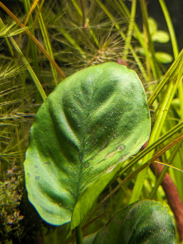 PXL_20231003_131818474