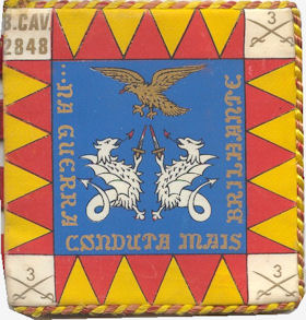 BCav2848