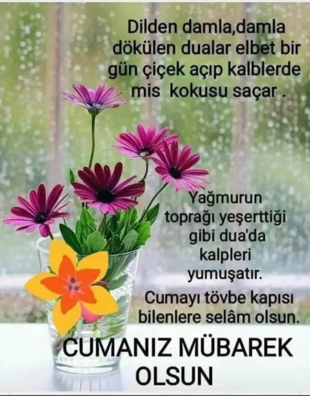 resim