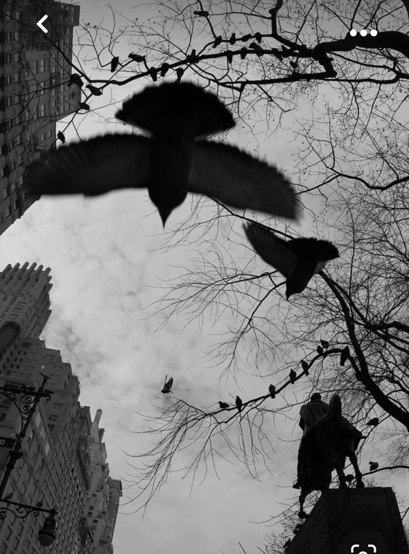 Screenshot_20231024_202534_Pinterest