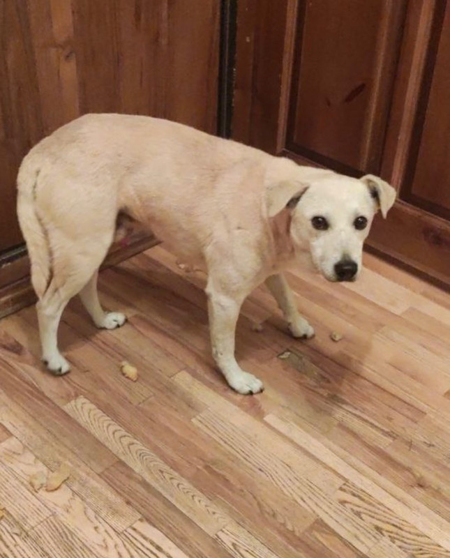 AEB4559E-0AC7-4C98-B02E-8878C7C1FC96