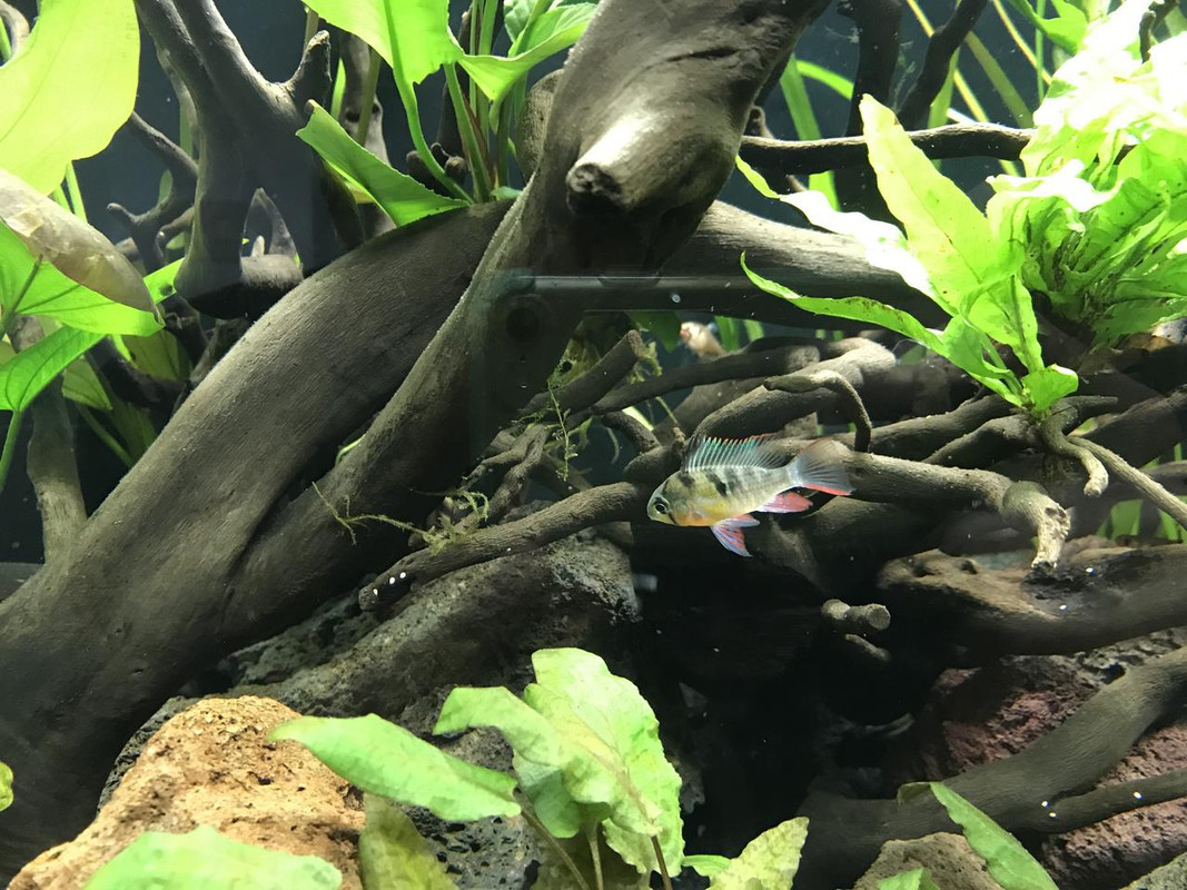 4C58A00D-B97F-4684-9A36-B9F87CF178D3