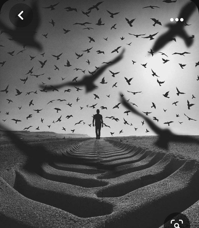 Screenshot_20230928_211322_Pinterest