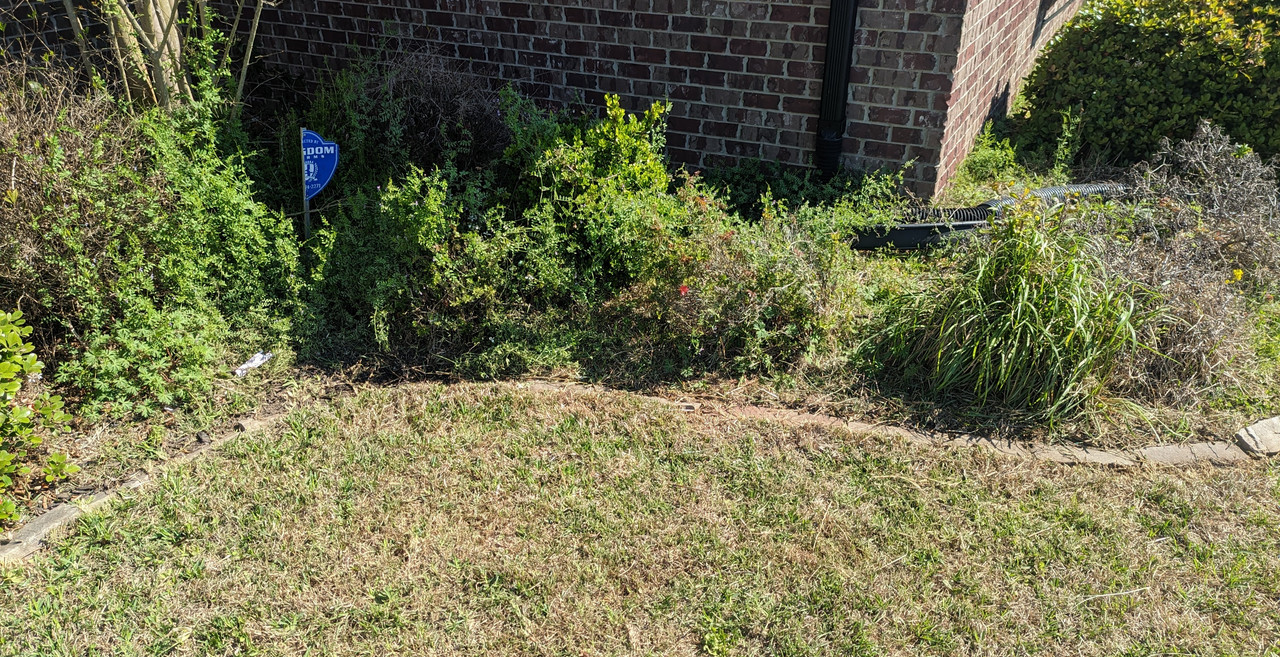 PXL_20230305_163605361