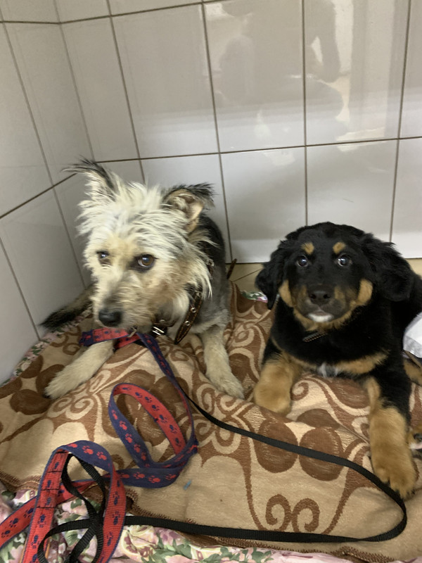 8EF682B2-3E9D-4384-B909-4E6252F52BD6