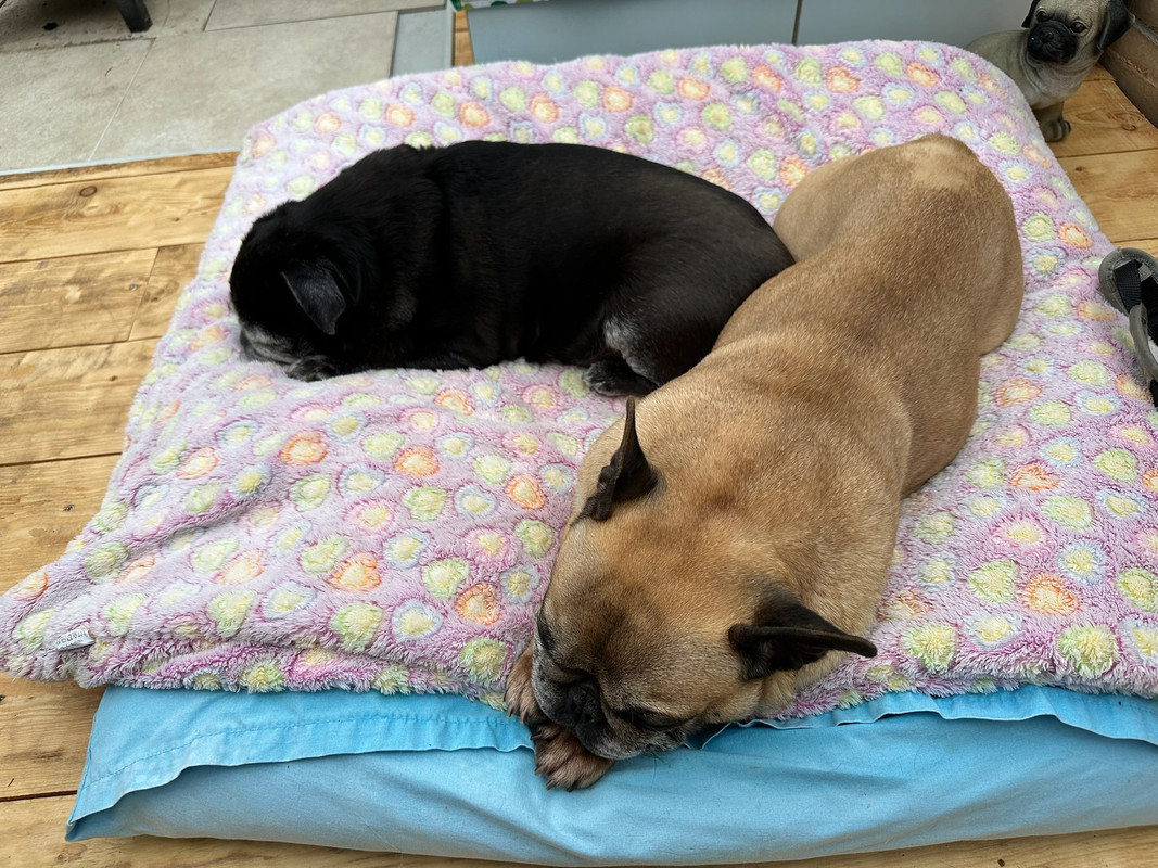 5BA9EE5C-5924-416A-8534-605F3CB91159