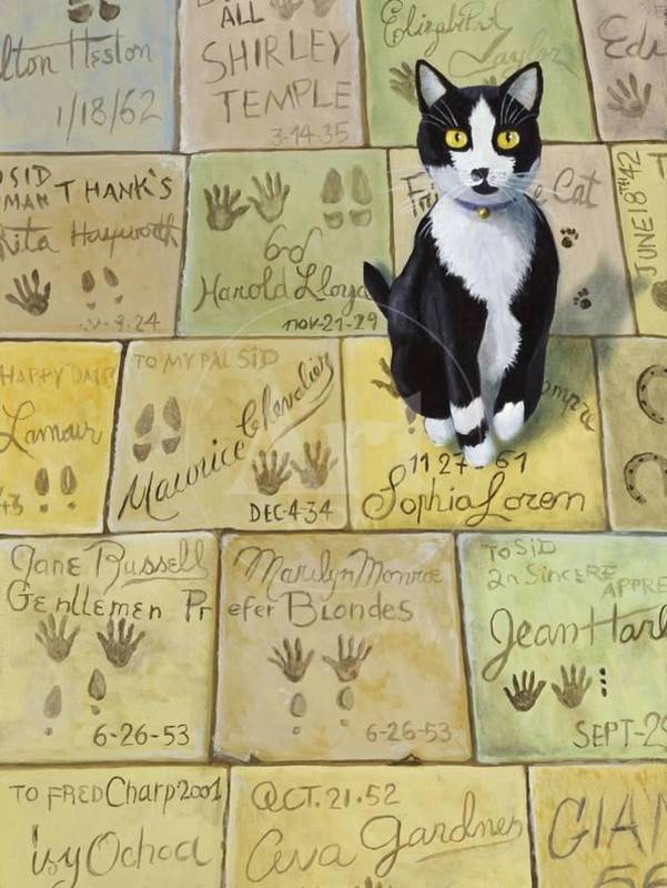 cat-in-hollywood-chat-a-hollywood-u-L-Q1-HALRG0