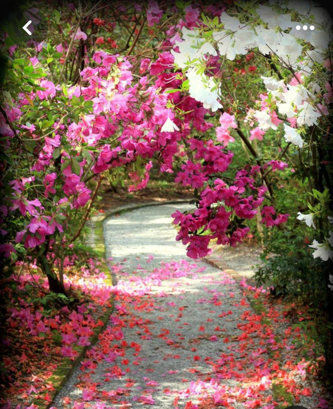 Screenshot_20240305_222554_Pinterest