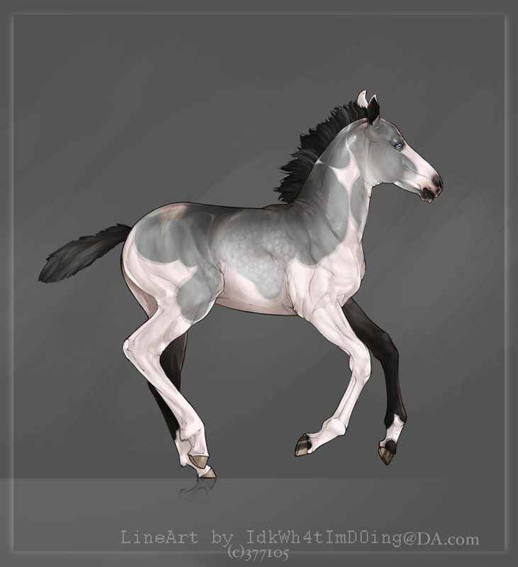 9-B01778-D-255-C-4-F3-F-A681-8-C67490-B05-D1.png