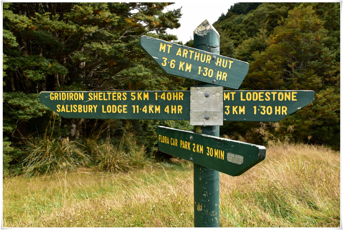 Kahurangi NP: Tableland/Mt Arthur Circuit (abril 2023) - Escapadas y rutas por la Nueva Zelanda menos conocida (1)